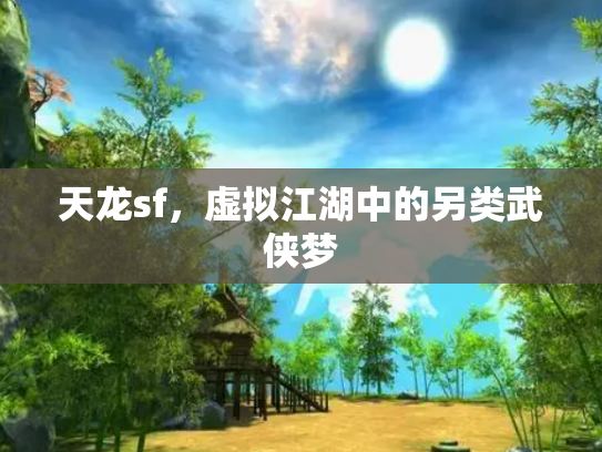 天龙sf，虚拟江湖中的另类武侠梦