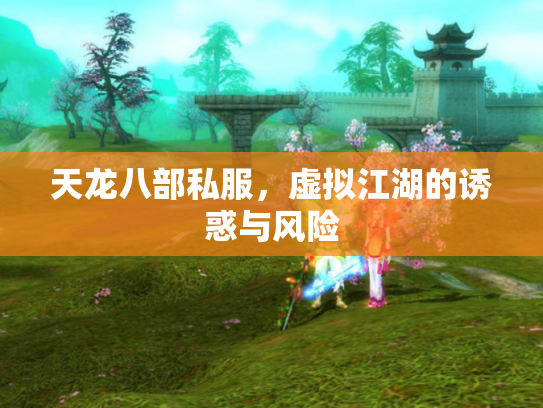 天龙八部私服，虚拟江湖的诱惑与风险