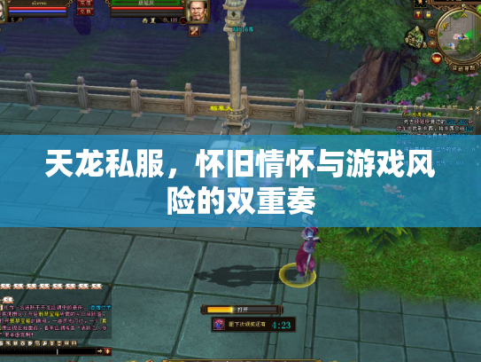 天龙私服，怀旧情怀与游戏风险的双重奏