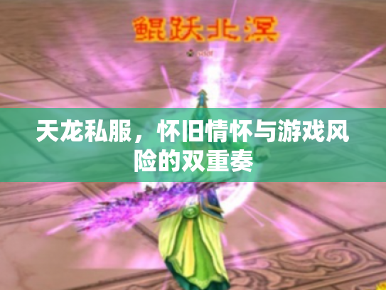 天龙私服，怀旧情怀与游戏风险的双重奏