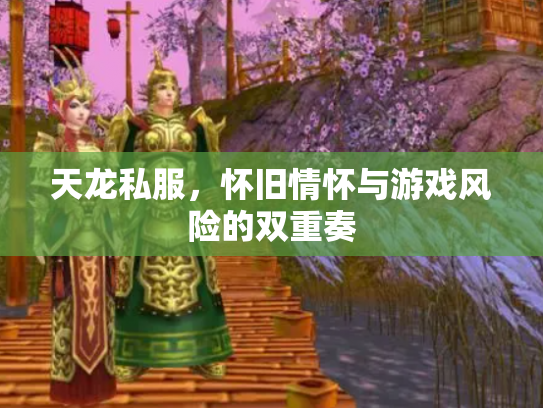 天龙私服，怀旧情怀与游戏风险的双重奏