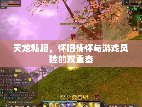 天龙私服，怀旧情怀与游戏风险的双重奏