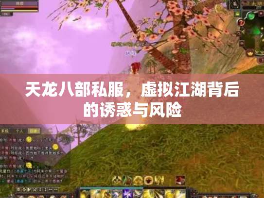 天龙八部私服，虚拟江湖背后的诱惑与风险
