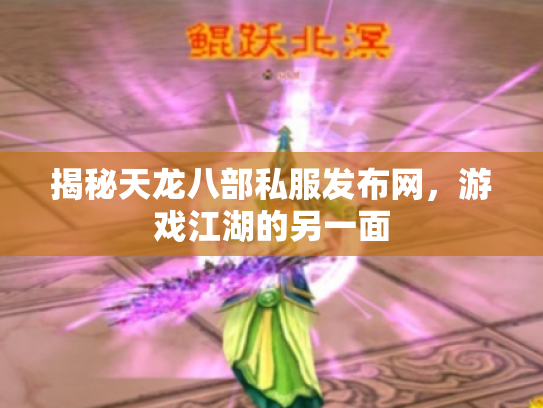 揭秘天龙八部私服发布网，游戏江湖的另一面