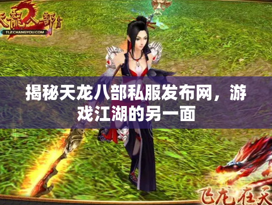 揭秘天龙八部私服发布网，游戏江湖的另一面