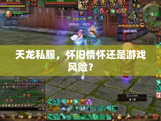 天龙私服，怀旧情怀还是游戏风险？