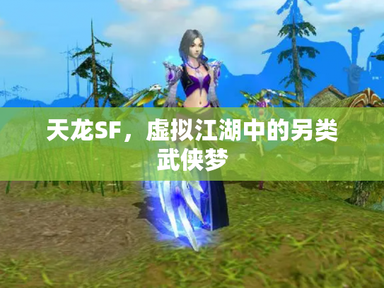 天龙SF，虚拟江湖中的另类武侠梦