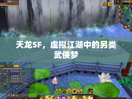 天龙SF，虚拟江湖中的另类武侠梦
