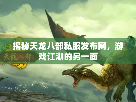 揭秘天龙八部私服发布网，游戏江湖的另一面