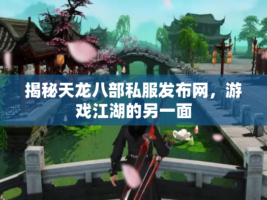 揭秘天龙八部私服发布网，游戏江湖的另一面