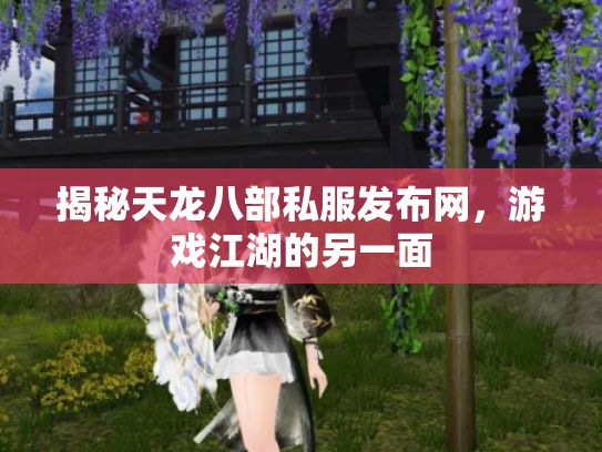 揭秘天龙八部私服发布网，游戏江湖的另一面