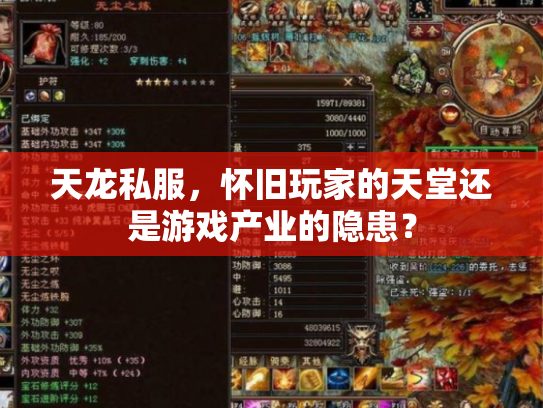 天龙私服，怀旧玩家的天堂还是游戏产业的隐患？