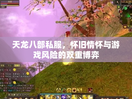 天龙八部私服，怀旧情怀与游戏风险的双重博弈