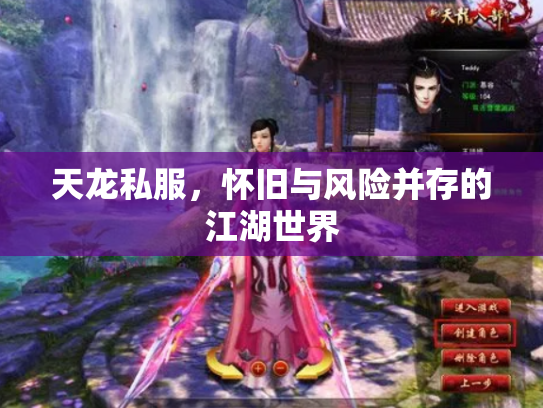 天龙私服，怀旧与风险并存的江湖世界