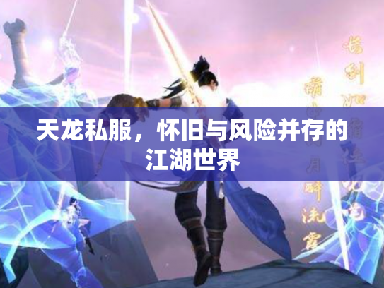天龙私服，怀旧与风险并存的江湖世界