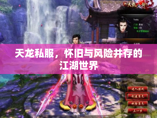天龙私服，怀旧与风险并存的江湖世界