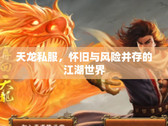 天龙私服，怀旧与风险并存的江湖世界