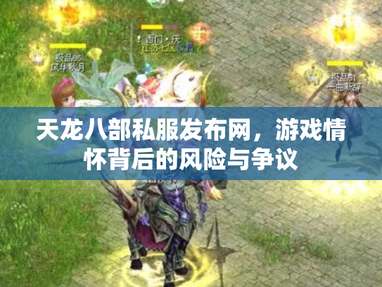 天龙八部私服发布网，游戏情怀背后的风险与争议