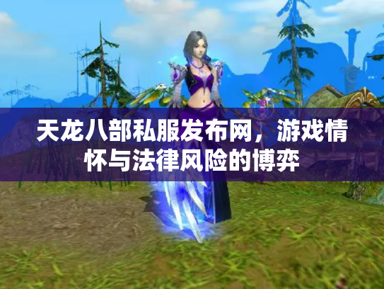 天龙八部私服发布网，游戏情怀与法律风险的博弈