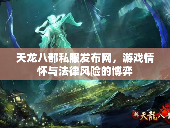 天龙八部私服发布网，游戏情怀与法律风险的博弈