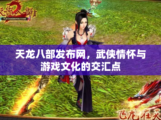 天龙八部发布网，武侠情怀与游戏文化的交汇点