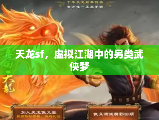天龙sf，虚拟江湖中的另类武侠梦