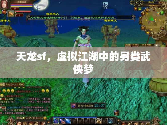 天龙sf，虚拟江湖中的另类武侠梦