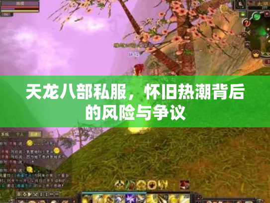 天龙八部私服，怀旧热潮背后的风险与争议