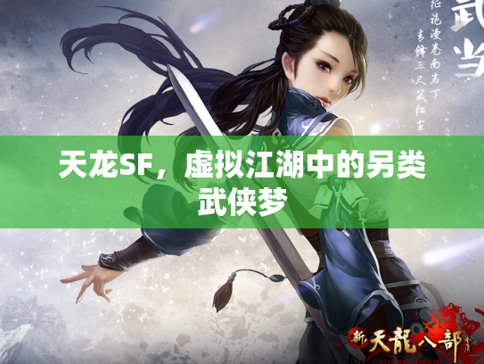 天龙SF，虚拟江湖中的另类武侠梦
