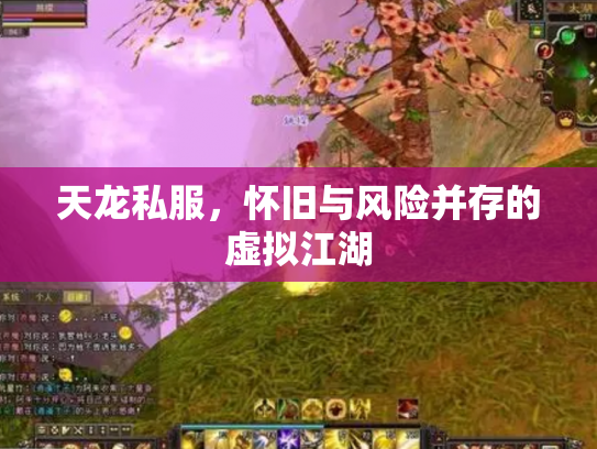 天龙私服，怀旧与风险并存的虚拟江湖