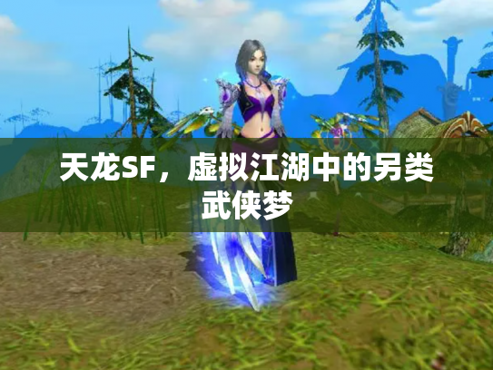 天龙SF，虚拟江湖中的另类武侠梦