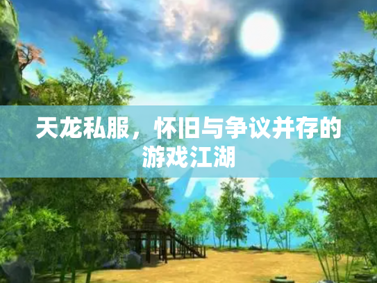 天龙私服，怀旧与争议并存的游戏江湖