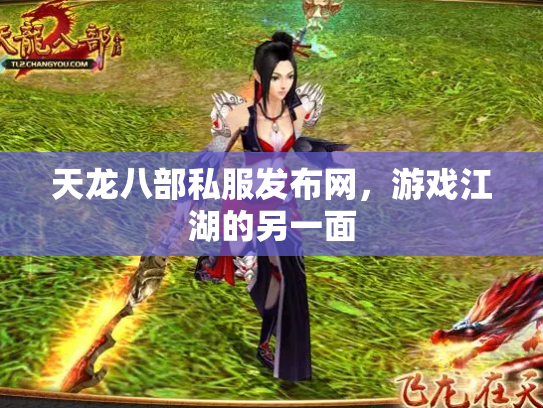 天龙八部私服发布网，游戏江湖的另一面