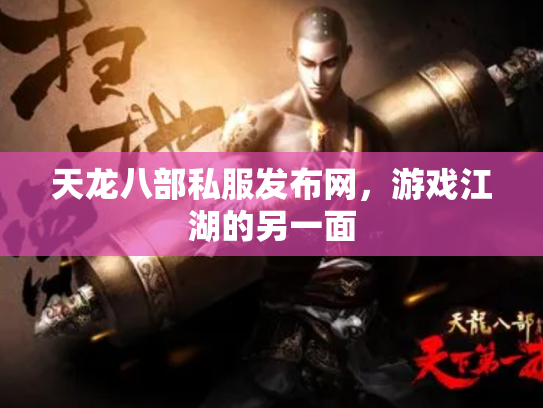 天龙八部私服发布网，游戏江湖的另一面