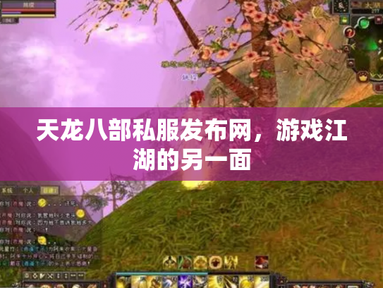 天龙八部私服发布网，游戏江湖的另一面