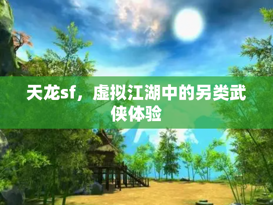 天龙sf，虚拟江湖中的另类武侠体验