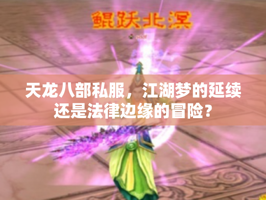 天龙八部私服，江湖梦的延续还是法律边缘的冒险？