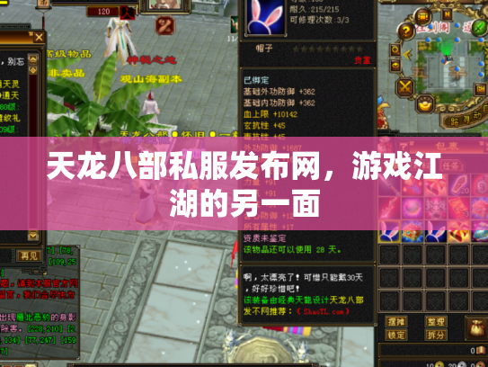 天龙八部私服发布网，游戏江湖的另一面