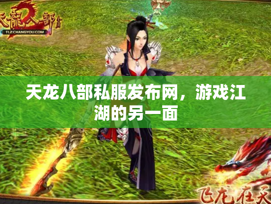 天龙八部私服发布网，游戏江湖的另一面