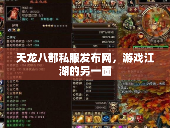 天龙八部私服发布网，游戏江湖的另一面