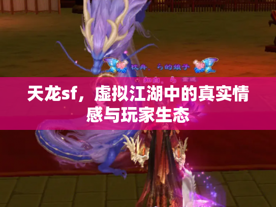 天龙sf，虚拟江湖中的真实情感与玩家生态