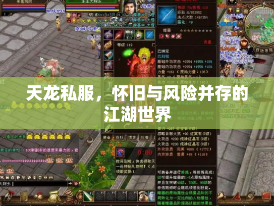 天龙私服，怀旧与风险并存的江湖世界