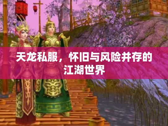 天龙私服，怀旧与风险并存的江湖世界