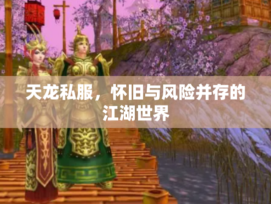 天龙私服，怀旧与风险并存的江湖世界