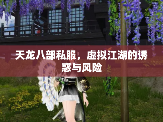 天龙八部私服，虚拟江湖的诱惑与风险