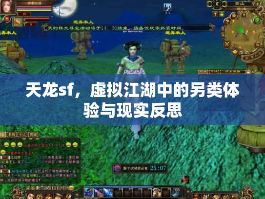 天龙sf，虚拟江湖中的另类体验与现实反思