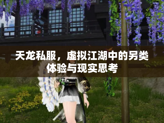 天龙私服，虚拟江湖中的另类体验与现实思考