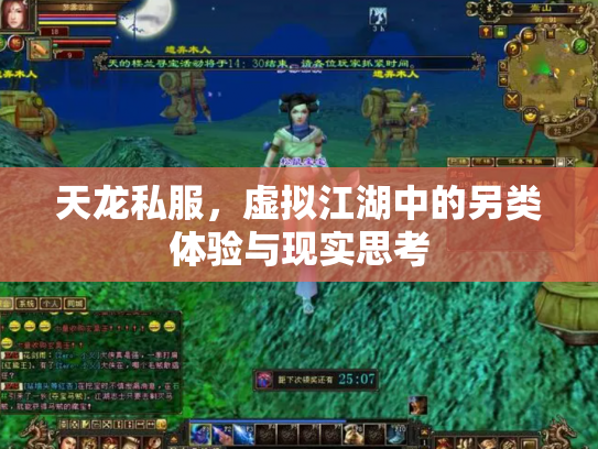 天龙私服，虚拟江湖中的另类体验与现实思考