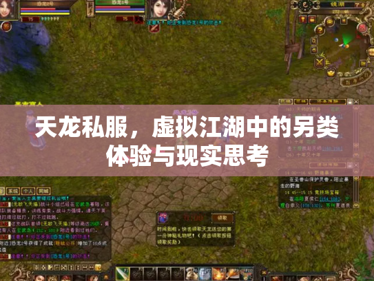 天龙私服，虚拟江湖中的另类体验与现实思考