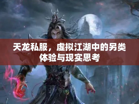 天龙私服，虚拟江湖中的另类体验与现实思考